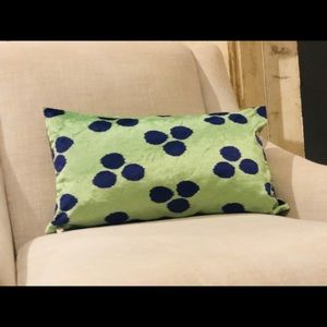 West Elm Silk Velvet Pillow Cover.